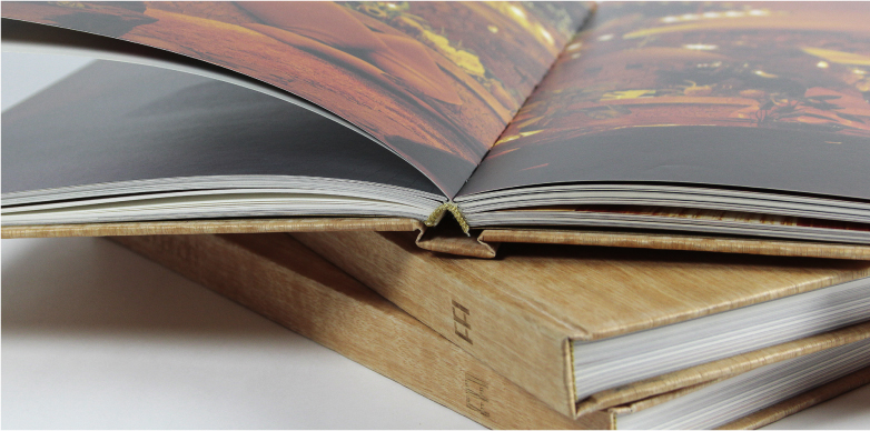 Innovative Printing - JAK Printers | Hardbound Book - NARI GANDHI